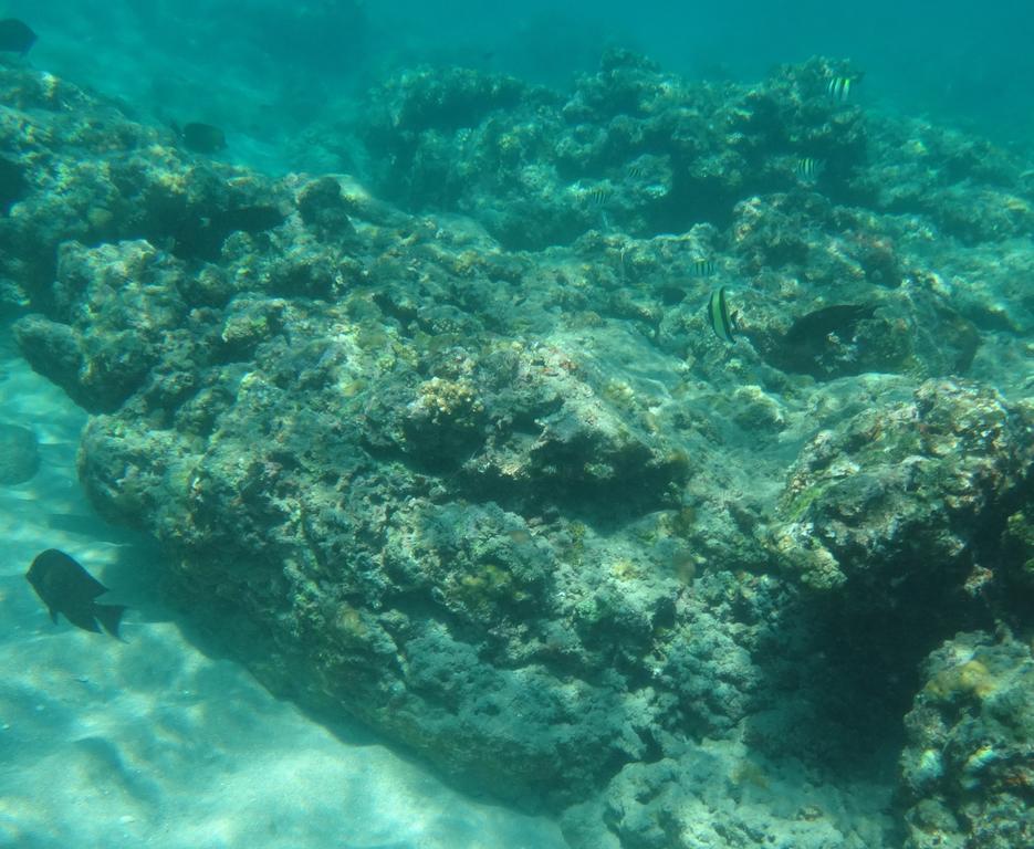 Wera Beach Kadumbul Exterior photo
