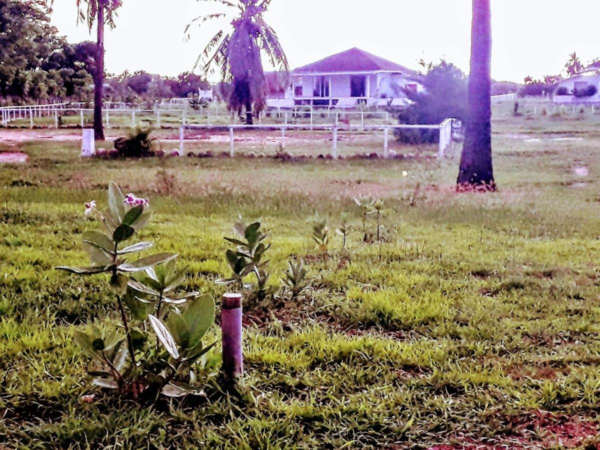Wera Beach Kadumbul Exterior photo